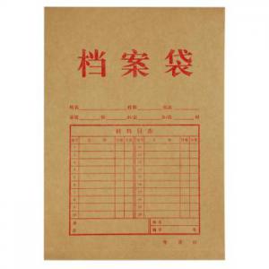 齊心 本色純木漿牛皮紙 豎式檔案袋 A4(10個/套) AP-117牛皮紙色